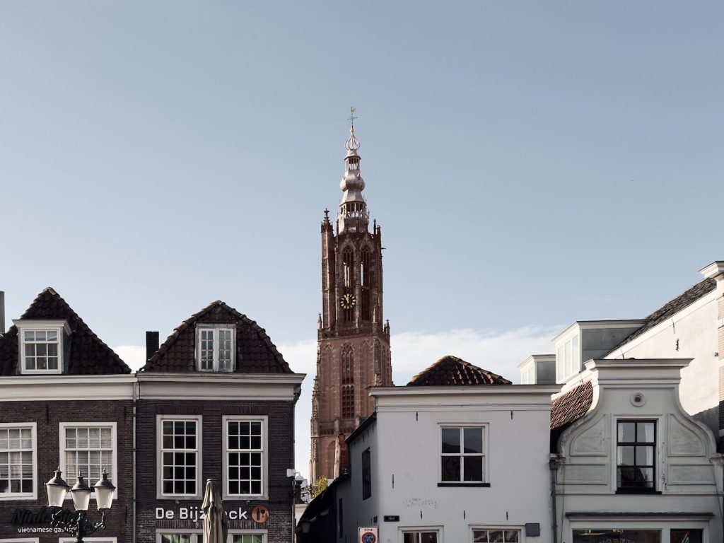 Onze Lieve Vrouwetoren Vanaf De Hof