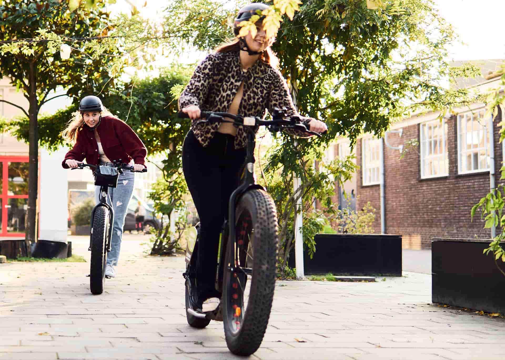 Lol Op De E Kickbike